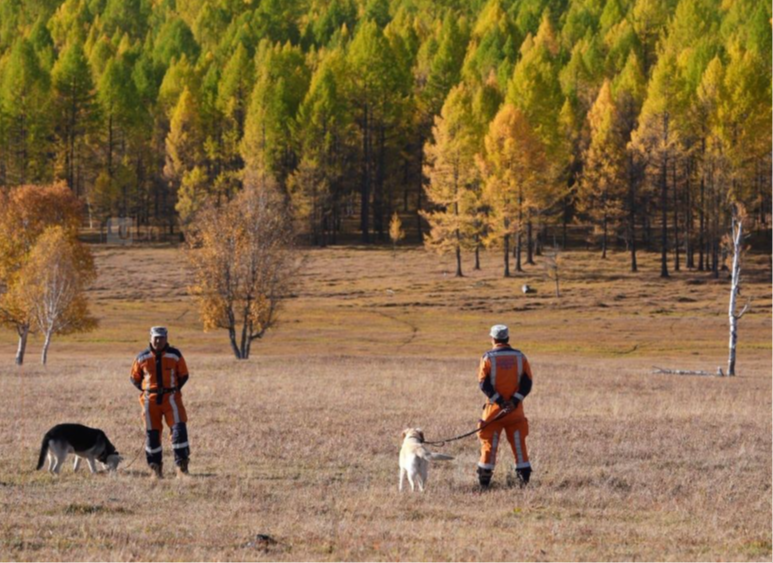 Хөвсгөл аймагт самарт яваад сураггүй болсон эмэгтэйг 17 дахь өдрөө эрэн хайж байна